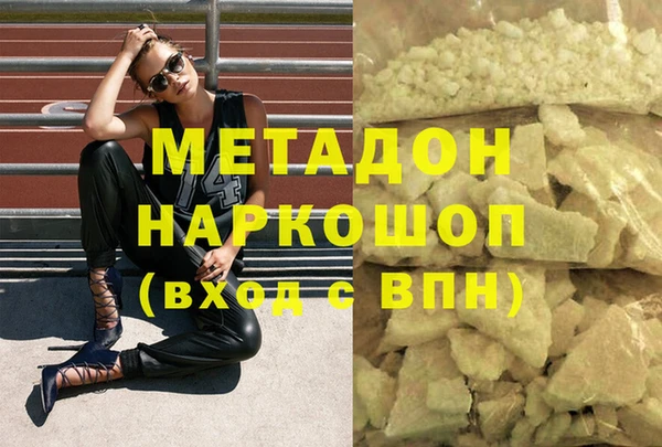 гашик Ельня