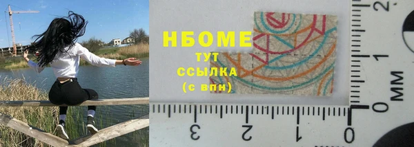 стаф Алексин