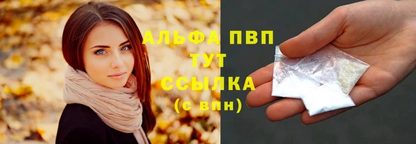 стаф Алексин